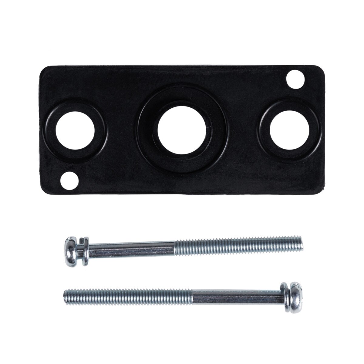 gasket and screws kit